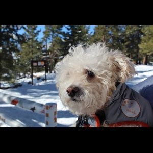 Meet your Posher, Matthew